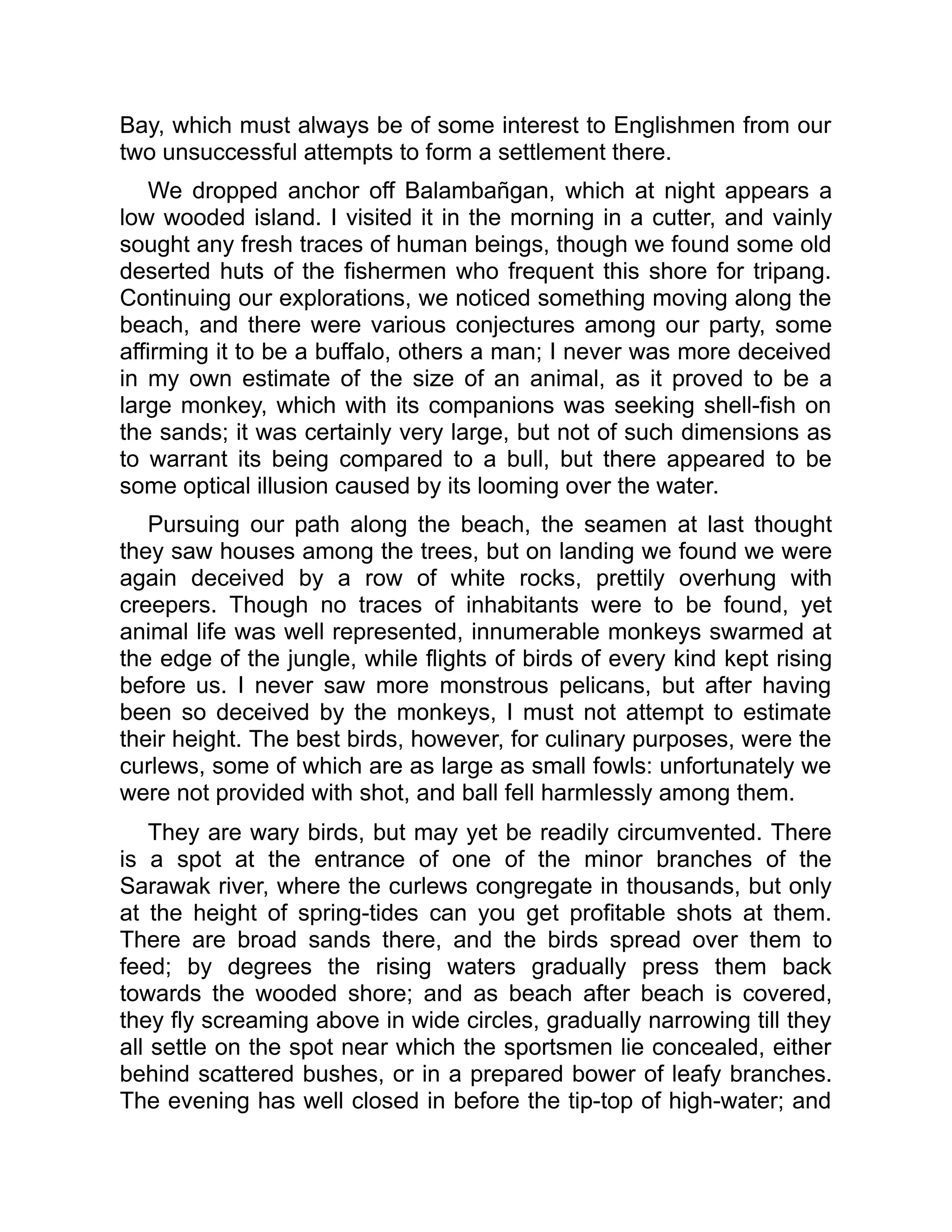 Bay, which must always be of some interest to Englishmen from our
two unsuccessful attempts to form a settlement there.
We dropped anchor off Balambañgan, which at night appears a
low wooded island. I visited it in the morning in a cutter, and vainly
sought any fresh traces of human beings, though we found some old
deserted huts of the fishermen who frequent this shore for tripang.
Continuing our explorations, we noticed something moving along the
beach, and there were various conjectures among our party, some
affirming it to be a buffalo, others a man; I never was more deceived
in my own estimate of the size of an animal, as it proved to be a
large monkey, which with its companions was seeking shell-fish on
the sands; it was certainly very large, but not of such dimensions as
to warrant its being compared to a bull, but there appeared to be
some optical illusion caused by its looming over the water.
Pursuing our path along the beach, the seamen at last thought
they saw houses among the trees, but on landing we found we were
again deceived by a row of white rocks, prettily overhung with
creepers. Though no traces of inhabitants were to be found, yet
animal life was well represented, innumerable monkeys swarmed at
the edge of the jungle, while flights of birds of every kind kept rising
before us. I never saw more monstrous pelicans, but after having
been so deceived by the monkeys, I must not attempt to estimate
their height. The best birds, however, for culinary purposes, were the
curlews, some of which are as large as small fowls: unfortunately we
were not provided with shot, and ball fell harmlessly among them.
They are wary birds, but may yet be readily circumvented. There
is a spot at the entrance of one of the minor branches of the
Sarawak river, where the curlews congregate in thousands, but only
at the height of spring-tides can you get profitable shots at them.
There are broad sands there, and the birds spread over them to
feed; by degrees the rising waters gradually press them back
towards the wooded shore; and as beach after beach is covered,
they fly screaming above in wide circles, gradually narrowing till they
all settle on the spot near which the sportsmen lie concealed, either
behind scattered bushes, or in a prepared bower of leafy branches.
The evening has well closed in before the tip-top of high-water; and
 