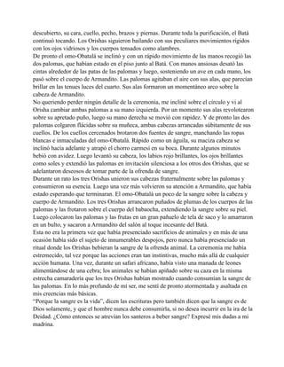 descubierto, su cara, cuello, pecho, brazos y piernas. Durante toda la purificación, el Batá
continuó tocando. Los Orishas siguieron bailando con sus peculiares movimientos rígidos
con los ojos vidriosos y los cuerpos tensados como alambres.
De pronto el omo-Obatalá se inclinó y con un rápido movimiento de las manos recogió las
dos palomas, que habían estado en el piso junto al Batá. Con manos ansiosas desató las
cintas alrededor de las patas de las palomas y luego, sosteniendo un ave en cada mano, los
pasó sobre el cuerpo de Armandito. Las palomas agitaban el aire con sus alas, que parecían
brillar en las tenues luces del cuarto. Sus alas formaron un momentáneo arco sobre la
cabeza de Armandito.
No queriendo perder ningún detalle de la ceremonia, me incliné sobre el círculo y vi al
Orisha cambiar ambas palomas a su mano izquierda. Por un momento sus alas revolotearon
sobre su apretado puño, luego su mano derecha se movió con rapidez. Y de pronto las dos
palomas colgaron flácidas sobre su muñeca, ambas cabezas arrancadas súbitamente de sus
cuellos. De los cuellos cercenados brotaron dos fuentes de sangre, manchando las ropas
blancas e inmaculadas del omo-Obatalá. Rápido como un águila, su maciza cabeza se
inclinó hacía adelante y atrapó el chorro carmesí en su boca. Durante algunos minutos
bebió con avidez. Luego levantó su cabeza, los labios rojo brillantes, los ojos brillantes
como soles y extendió las palomas en invitación silenciosa a los otros dos Orishas, que se
adelantaron deseosos de tomar parte de la ofrenda de sangre.
Durante un rato los tres Orishas unieron sus cabezas fraternalmente sobre las palomas y
consumieron su esencia. Luego una vez más volvieron su atención a Armandito, que había
estado esperando que terminaran. El omo-Obatalá un poco de la sangre sobre la cabeza y
cuerpo de Armandito. Los tres Orishas arrancaron puñados de plumas de los cuerpos de las
palomas y las frotaron sobre el cuerpo del babaocha, extendiendo la sangre sobre su piel.
Luego colocaron las palomas y las frutas en un gran pañuelo de tela de saco y lo amarraron
en un bulto, y sacaron a Armandito del salón al toque incesante del Batá.
Esta no era la primera vez que había presenciado sacrificios de animales y en más de una
ocasión había sido el sujeto de innumerables despojos, pero nunca había presenciado un
ritual donde los Orishas bebieran la sangre de la ofrenda animal. La ceremonia me había
estremecido, tal vez porque las acciones eran tan instintivas, mucho más allá de cualquier
acción humana. Una vez, durante un safari africano, había visto una manada de leones
alimentándose de una cebra; los animales se habían apiñado sobre su caza en la misma
estrecha camaradería que los tres Orishas habían mostrado cuando consumían la sangre de
las palomas. En lo más profundo de mí ser, me sentí de pronto atormentada y asaltada en
mis creencias más básicas.
“Porque la sangre es la vida”, dicen las escrituras pero también dicen que la sangre es de
Dios solamente, y que el hombre nunca debe consumirla, si no desea incurrir en la ira de la
Deidad. ¿Cómo entonces se atrevían los santeros a beber sangre? Expresé mis dudas a mi
madrina.

 
