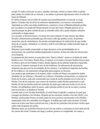 escape. El sudor corría por su cara y espalda. Aterrada, colocó su mano sobre su pecho
para calmar los latidos de su corazón, y sus dedos se posaron ligeramente sobre el collar de
mazo de Obatalá.
El súbito contacto con el collar de cuentas sacó inmediatamente a Laura de su ciego
pánico. Grandes olas de alivio la cubrieron rápidamente y sus temores retrocedieron.
Apretando su collar con dedos temblorosos, comenzó a rezar a Obatalá pidiendo perdón
por sus dudas y la ayuda del Orisha durante el resto del ritual. Obatalá pareció oír su
oración porque un gran sentido de paz se extendió sobre ella y pudo relajarse mientras
continuaba su larga espera.
Los minutos se hicieron horas y la mente de Laura empezó el viaje interior que debía
llevarla a dimensiones profundas que ella nunca soñó que podían existir. Su primera
sensación, una de somnolencia, fue pronto reemplazada por la realización de que estaba
fuera de su cuerpo, mirándose a si misma y toda la actividad que estaba teniendo lugar en
el ilé-Orisha.
Mientras Laura estaba empezando su largo descenso en las profundidades de su
inconsciente, las iyalochas estaban preparando el omiero, la base de todas las iniciaciones
en la Santería.
La preparación del omiero es conocida como “hacer a Osain”, quien es el dueño de todas
hierbas o ewe. En Cuba y Puerto Rico, el santero va al monte a recoger hierbas frescas para
el omiero, pero en los Estados Unidos, donde algunas de las plantas tropicales requeridas
no crecen, el santero consigue el ewe en las botánicas, los almacenes de mercancías
religiosas que proveen las necesidades de los santeros. Las botánicas importan las hierbas
de los trópicos y las mantienen refrigeradas para asegurar su frescura.
Las santeras que participan en el asiento, todas vestidas de blanco con pañuelos atados
alrededor de sus cabezas, y llevando sus collares y brazaletes ceremoniales, se sientan en
frente de la estera, cada uno sosteniendo una vasija de arcilla pintada con el color de su
Orisha. Uno de los mayores, que conoce de memoria cuales hierbas pertenecen a cual
Orisha, divide las hierbas entre las iyalochas de modo que cada una recibe el ewe de su
Orisha. Arrodillándose sobre la estera, cada iyalocha recibe el ewe de su santo y entona
una invocación a su deidad en Yoruba.
Cuando todo el ewe ha sido distribuido, el oriaté llega al igbodu y empieza el canto que
consagra las hierbas a los Orishas. Después de las oraciones rituales a los ikú, Olofi, y los
Orishas, (incluyendo Osain), el oriaté canta las invocaciones ceremoniales a los Orishas,
empezando como de costumbre con Elegguá. A medida que cada canto termina, el oriaté
marca en el piso una línea vertical con tiza, y dos de las iyalochas más jóvenes vierten agua
sobre cada recipiente de arcilla.
Mientras tanto, las iyalochas trituran el ewe con sus manos y contestan en coro cada uno de
los cantos del oriaté. Cuando este largo y tedioso proceso es completado, los otanes y

 