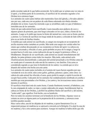 podía recordar nada de lo que había acontecido. Se le pidió que se sentara una vez más en
el apotí, y la última parte de la ceremonia, el sacrificio de los animales sagrados a los
Orishas tuvo entonces lugar.
Los animales de cuatro patas habían sido mantenidos fuera del igbodu, y llevados adentro
uno por uno, cada uno con un pedazo de seda blanca adornada con ribetes dorados
alrededor de su lomo. Laura fue instruida a que se arrodillara cada vez que el babalawo
inmolaba uno de los animales.
Antes de que cada animal fuera sacrificado, Laura mascaba unos pedazos de coco y
algunos granos de pimienta, que eran luego colocados en los ojos, oídos y frente de los
animales. Luego se le pidió que tocara la frente del animal tres veces con su frente, pechos
y piernas. La víctima de sacrificio era luego atada de las patas y colocada de lado sobre el
piso en un lecho de hierbas rituales.
A medida que cada animal era sacrificado, su sangre era recogida en un recipiente de
arcilla mientras todos cantaban en yoruba. Más tarde esta sangre era vertida sobre los
otanes que estaban descansando en sus recipientes en frente del apotí. La cabeza era
entonces cercenada y ofrecida a Laura, quien probaba un poco de la sangre y luego la
escupía hacia el cielo raso, como indicación de que la sangre le pertenece a Dios, a
Oloddumare. Después de ser sacrificado, cada animal era sacado inmediatamente del
igbodu, las patas primero como todos los muertos. Más tarde, cada animal sería
ritualísticamente desmembrado y cada parte del animal presentado a los Orishas antes de
ser usada para el consumo de cada uno de los santeros y sus familias. Esta carne es
considerada sagrada ya que tiene la bendición de los santos. La comida que se sirve
después del asiento esta hecha con esta carne.
Los animales de cuatro patas incluidos en el asiento de Laura fueron seguidos por una
variedad de aves de corral, tales como gallos, gallinas, palomas y patos, entre otros. La
cabeza de cada animal fue ofrecida a Laura, quien probó la sangre y repitió la acción de
escupir hacia arriba. Cada parte de los animales fue cuidadosamente nombrada en yoruba a
medida que eran presentadas a los Orishas, y los cantos y las invocaciones nunca cesaron
durante el sacrificio.
El sacrificio ritual duró más de cuatro horas. Cuando finalmente terminó, el babalawo, con
la cara empapada de sudor, su ropa y cuerpo salpicados de sangre, humildemente bajó su
cabeza en frente de los Orishas, y profirió las palabras finales del sacrificio y del asiento,
“eroko ashé”, que significa: Está hecho, con su bendición.
Pero no todos los asientos terminan con la bendición de los Orishas. Algunas veces se
comete un error en alguna parte en la preparación de la ceremonia, y entonces cosas
terribles pueden suceder.
Hace varios años, una de las ahijadas de mi madrina, a quien llamaremos Eva, se
impacientó porque mi madrina no se apresuró a iniciarla en la Religión. Eva dejó la casa de
mi madrina y fue a otra santera para asentarse. Aunque mi madrina le había dicho que ella

 