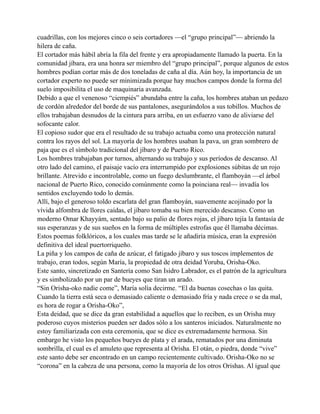 cuadrillas, con los mejores cinco o seis cortadores —el “grupo principal”— abriendo la
hilera de caña.
El cortador más hábil abría la fila del frente y era apropiadamente llamado la puerta. En la
comunidad jíbara, era una honra ser miembro del “grupo principal”, porque algunos de estos
hombres podían cortar más de dos toneladas de caña al día. Aún hoy, la importancia de un
cortador experto no puede ser minimizada porque hay muchos campos donde la forma del
suelo imposibilita el uso de maquinaria avanzada.
Debido a que el venenoso “ciempiés” abundaba entre la caña, los hombres ataban un pedazo
de cordón alrededor del borde de sus pantalones, asegurándolos a sus tobillos. Muchos de
ellos trabajaban desnudos de la cintura para arriba, en un esfuerzo vano de aliviarse del
sofocante calor.
El copioso sudor que era el resultado de su trabajo actuaba como una protección natural
contra los rayos del sol. La mayoría de los hombres usaban la pava, un gran sombrero de
paja que es el símbolo tradicional del jíbaro y de Puerto Rico.
Los hombres trabajaban por turnos, alternando su trabajo y sus períodos de descanso. Al
otro lado del camino, el paisaje vacío era interrumpido por explosiones súbitas de un rojo
brillante. Atrevido e incontrolable, como un fuego deslumbrante, el flamboyán —el árbol
nacional de Puerto Rico, conocido comúnmente como la poinciana real— invadía los
sentidos excluyendo todo lo demás.
Allí, bajo el generoso toldo escarlata del gran flamboyán, suavemente acojinado por la
vívida alfombra de llores caídas, el jíbaro tomaba su bien merecido descanso. Como un
moderno Omar Khayyám, sentado bajo su palio de flores rojas, el jíbaro tejía la fantasía de
sus esperanzas y de sus sueños en la forma de múltiples estrofas que él llamaba décimas.
Estos poemas folklóricos, a los cuales mas tarde se le añadiría música, eran la expresión
definitiva del ideal puertorriqueño.
La piña y los campos de caña de azúcar, el fatigado jíbaro y sus toscos implementos de
trabajo, eran todos, según María, la propiedad de otra deidad Yoruba, Orisha-Oko.
Este santo, sincretizado en Santería como San Isidro Labrador, es el patrón de la agricultura
y es simbolizado por un par de bueyes que tiran un arado.
“Sin Orisha-oko nadie come”, María solía decirme. “El da buenas cosechas o las quita.
Cuando la tierra está seca o demasiado caliente o demasiado fría y nada crece o se da mal,
es hora de rogar a Orisha-Oko”,
Esta deidad, que se dice da gran estabilidad a aquellos que lo reciben, es un Orisha muy
poderoso cuyos misterios pueden ser dados sólo a los santeros iniciados. Naturalmente no
estoy familiarizada con esta ceremonia, que se dice es extremadamente hermosa. Sin
embargo he visto los pequeños bueyes de plata y el arada, rematados por una diminuta
sombrilla, el cual es el amuleto que representa al Orisha. El otán, o piedra, donde “vive”
este santo debe ser encontrado en un campo recientemente cultivado. Orisha-Oko no se
“corona” en la cabeza de una persona, como la mayoría de los otros Orishas. Al igual que

 
