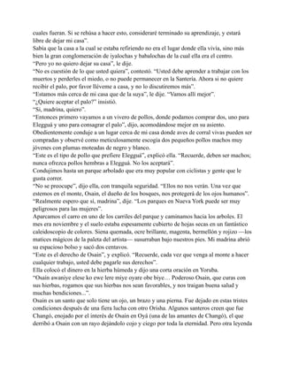 cuales fueran. Si se rehúsa a hacer esto, consideraré terminado su aprendizaje, y estará
libre de dejar mi casa”.
Sabía que la casa a la cual se estaba refiriendo no era el lugar donde ella vivía, sino más
bien la gran conglomeración de iyalochas y babalochas de la cual ella era el centro.
“Pero yo no quiero dejar su casa”, le dije.
“No es cuestión de lo que usted quiera”, contestó. “Usted debe aprender a trabajar con los
muertos y perderles el miedo, o no puede permanecer en la Santería. Ahora si no quiere
recibir el palo, por favor lléveme a casa, y no lo discutiremos más”.
“Estamos más cerca de mi casa que de la suya”, le dije. “Vamos allí mejor”.
“¿Quiere aceptar el palo?” insistió.
“Si, madrina, quiero”.
“Entonces primero vayamos a un vivero de pollos, donde podamos comprar dos, uno para
Elegguá y uno para consagrar el palo”, dijo, acomodándose mejor en su asiento.
Obedientemente conduje a un lugar cerca de mi casa donde aves de corral vivas pueden ser
compradas y observé como meticulosamente escogía dos pequeños pollos machos muy
jóvenes con plumas moteadas de negro y blanco.
“Este es el tipo de pollo que prefiere Elegguá”, explicó ella. “Recuerde, deben ser machos;
nunca ofrezca pollos hembras a Elegguá. No los aceptará”.
Condujimos hasta un parque arbolado que era muy popular con ciclistas y gente que le
gusta correr.
“No se preocupe”, dijo ella, con tranquila seguridad. “Ellos no nos verán. Una vez que
estemos en el monte, Osain, el dueño de los bosques, nos protegerá de los ojos humanos”.
“Realmente espero que sí, madrina”, dije. “Los parques en Nueva York puede ser muy
peligrosos para las mujeres”.
Aparcamos el carro en uno de los carriles del parque y caminamos hacia los arboles. El
mes era noviembre y el suelo estaba espesamente cubierto de hojas secas en un fantástico
caleidoscopio de colores. Siena quemada, ocre brillante, magenta, bermellón y rojizo —los
matices mágicos de la paleta del artista— susurraban bajo nuestros pies. Mi madrina abrió
su espacioso bolso y sacó dos centavos.
“Este es el derecho de Osain”, y explicó. “Recuerde, cada vez que venga al monte a hacer
cualquier trabajo, usted debe pagarle sus derechos”.
Ella colocó el dinero en la hierba húmeda y dijo una corta oración en Yoruba.
“Osain awaniye elese ko ewe lere miye oyare obe biye… Poderoso Osain, que curas con
sus hierbas, rogamos que sus hierbas nos sean favorables, y nos traigan buena salud y
muchas bendiciones...”.
Osain es un santo que solo tiene un ojo, un brazo y una pierna. Fue dejado en estas tristes
condiciones después de una fiera lucha con otro Orisha. Algunos santeros creen que fue
Changó, enojado por el interés de Osain en Oyá (una de las amantes de Changó), el que
derribó a Osain con un rayo dejándolo cojo y ciego por toda la eternidad. Pero otra leyenda

 