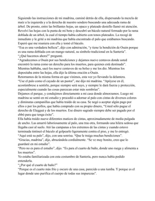 Siguiendo las instrucciones de mi madrina, caminé detrás de ella, dispersando la mezcla de
maíz a la izquierda y a la derecha de nuestro sendero buscando una adecuada rama de
árbol. De pronto, entre las brillantes hojas, un opaco y plateado destello llamó mi atención.
Revolví las hojas con la punta de mi bota y descubrí un báculo natural formado por la rama
doblada de un árbol, la cual el tiempo había cubierto con tonos plateados. La recogí de
inmediato y le grité a mi madrina que había encontrado el palo que estábamos buscando.
Esperó que me reuniera con ella y tomó el báculo.
“Esa es una verdadera belleza”, dijo con admiración, “y tiene la bendición de Osain porque
es una rama doblada con un mango natural, su símbolo tradicional en la Santería”.
“¿Qué hacemos ahora?” pregunté.
“Agradecemos a Osain por sus bendiciones y dejamos nueve centavos donde usted
encontró la rama como un derecho para los muertos, para quienes está destinado”.
Mientras hablaba, sacó los nueve centavos de su bolso y me los dio. Mientras los
depositaba entre las hojas, ella dijo la última oración a Osain.
Retornamos de la misma forma en que vinimos, esta vez yo llevando la delantera.
“Use el palo como el cayado de un pastor”, me dijo mi madrina. “Apóyese en él,
acostúmbrese a sentirlo, porque siempre será suyo, y siempre le dará fuerza y protección,
especialmente cuando las cosas parezcan estar más sombrías”.
Dejamos el parque, y condujimos directamente a mi casa donde almorzamos. Luego mi
madrina se sentó en mi estudio y procedió a adornar al palo con cintas de diversos colores
y diminutas campanillas que había traído de su casa. Se negó a aceptar algún pago por
ellos o por los pollos, que había comprado con su propio dinero, “Usted sólo pague el
derecho de Elegguá y de los muertos. Ese dinero sagrado siempre debe ser pagado por el
ebbó para que tenga éxito”.
Ella había traído nueve diferentes matices de cintas, aproximadamente de media pulgada
de ancho. Las amarró laboriosamente al palo, una tras otra, formando una hilera sedosa que
llegaba casi al suelo. Ató las campanas a los extremos de las cintas y cuando estuvo
terminada tintineó el báculo al golpearlo ligeramente contra el piso, y me lo entregó.
“Aquí está su palo”, dijo, con una sonrisa. “Que le traiga muchas bendiciones”.
“Gracias, madrina”, dije, abrazándola cordialmente. “Se ve muy bonito, creo que lo
guardaré en mi estudio”.
“Pero no es para el estudio”, dijo. “Es para el cuarto de baño, donde uno ruega y alimenta a
los muertos”.
Yo estaba familiarizada con esta costumbre de Santería, pero nunca había podido
entenderla.
“¿Por qué el cuarto de baño?”
“Porque es el cuarto más frío y oscuro de una casa, parecido a una tumba. Y porque es el
lugar donde uno purifica el cuerpo de todas sus impurezas”.

 