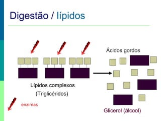 Digestão / lípidos
Lípidos complexos
(Triglicéridos)
Ácidos gordos
Glicerol (álcool)
enzimas
 
