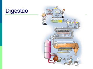 Digestão
 