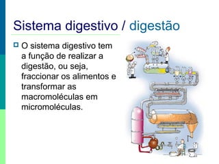 Sistema digestivo / digestão
 O sistema digestivo tem
a função de realizar a
digestão, ou seja,
fraccionar os alimentos e
transformar as
macromoléculas em
micromoléculas.
 