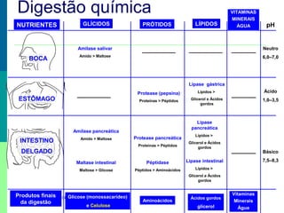 Prof. Teresa Condeixa 0809
Amilase salivar
Amido > Maltose
Amilase pancreática
Amido > Maltose
Maltase intestinal
Maltose > Glicose
NUTRIENTES
BOCA
ESTÔMAGO
INTESTINO
DELGADO
Protease (pepsina)
Proteínas > Péptidos
Protease pancreática
Proteínas > Péptidos
Péptidase
Péptidos > Aminoácidos
Lipase
pancreática
Lípidos >
Glicerol e Ácidos
gordos
Lipase intestinal
Lípidos >
Glicerol e Ácidos
gordos
pH
Neutro
6,0–7,0
Ácido
1,0–3,5
Básico
7,5–8,3
VITAMINAS
MINERAIS
ÁGUA
Digestão química
Glicose (monossacarídeo)
e Celulose
Aminoácidos
Ácidos gordos
glicerol
Vitaminas
Minerais
Água
Produtos finais
da digestão
VITAMINAS
MINERAIS
ÁGUA
VITAMINAS
MINERAIS
ÁGUALÍPIDOSPRÓTIDOSGLÍCIDOS
Lipase gástrica
Lípidos >
Glicerol e Ácidos
gordos
 