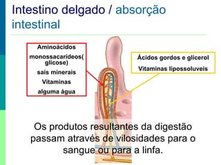 Absorção Intestinal
Aminoácidos
monossacarídeos(
glicose)
sais minerais
Vitaminas
alguma água
Ácidos gordos e glicerol
Vitaminas lipossoluveis
Intestino delgado / absorção
intestinal
Os produtos resultantes da digestão
passam através de vilosidades para o
sangue ou para a linfa.
 