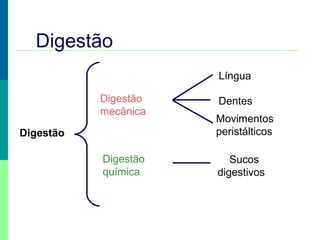 Digestão
Digestão
mecânica
Digestão
química
Língua
Dentes
Movimentos
peristálticos
Sucos
digestivos
Digestão
 