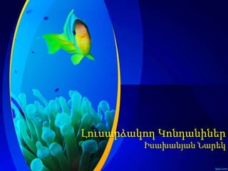 Լուսարձակող Կոնդանիներ
Իսախանյան Նարեկ
 