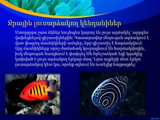 Ջրային լուսարձակող կենդանիներ
Ստորջրյա շատ ձկներ նույնպես կարող են լույս արձակել` այդպես
վախեցնելով գիշատիչներին: Կատարավոր մեդուզան արձակում է
վառ փայլող մասնիկների ամպեր, երբ գիշատիչ է հարձակվում:
Այդ մասնիկները որոշ ժամանակ կուրացնում են հարձակվողին,
իսկ մեդուզան հասցնում է փախչել:Սև հրեշաձկան էգի կզակից
կախված է լույս արձակող երկար մազ: Նրա աչքերի մոտ երկու
լուսարձակող կետ կա, որոնք օգնում են ուտելիք հայթայթել:
 