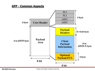 64 Fujitsu and Fujitsu Customer Use OnlyNG-SDH Overview
GFP - Common Aspects
Payload
Area
Core Header
8 bit
PLI
PLI
cHEC
cHEC
Client
Payload
Information
Payload
Headers
Optional
Payload FCS
4 byte
4 to 65535 byte
8 bit
X=4-64 byte
0 to
65535-X byte
4 byte
4 byte
 