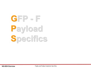 85 Fujitsu and Fujitsu Customer Use OnlyNG-SDH Overview
GFP - F
Payload
Specifics
 