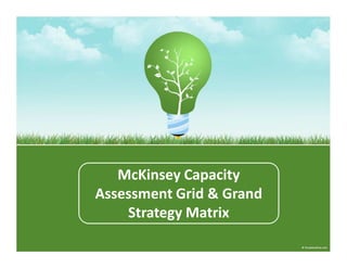 McKinsey Capacity
Assessment Grid & Grand
Strategy Matrix

 