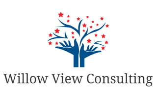 Willow View Consulting
 