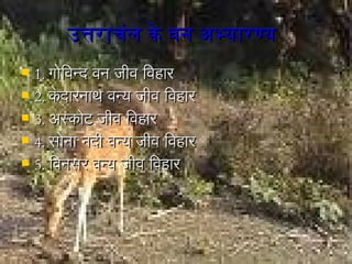 उत्तराचंल के वनग अभ्यारण्यउत्तराचंल के वनग अभ्यारण्य
 1.1. गोविविन्द विन जीवि िविहारगोविविन्द विन जीवि िविहार
 2.2. के दारनाथ विन्य जीवि िविहारके दारनाथ विन्य जीवि िविहार
 3.3. अस्कोवट जीवि िविहारअस्कोवट जीवि िविहार
 4.4. सोवना नदी विन्य जीवि िविहारसोवना नदी विन्य जीवि िविहार
 5.5. िविनसर विन्य जीवि िविहारिविनसर विन्य जीवि िविहार
 