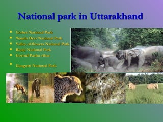 National park in UttarakhandNational park in Uttarakhand
 Corbet National ParkCorbet National Park
 Nanda Devi National ParkNanda Devi National Park
 Valley of flowers National ParkValley of flowers National Park
 Rajaji National ParkRajaji National Park
 Govind Pashu viharGovind Pashu vihar

Gangotri National ParkGangotri National Park
 
