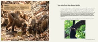 Phnom Prich Wildlife Sanctuary Profile PPT