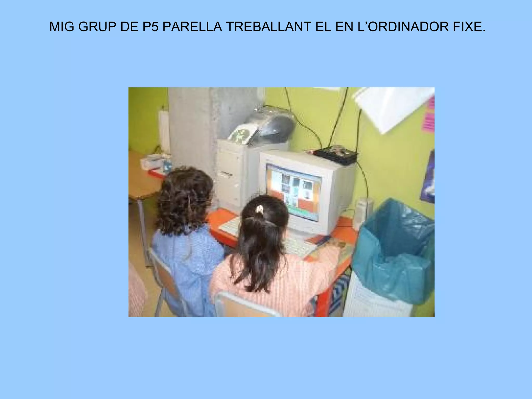 MIG GRUP DE P5 PARELLA TREBALLANT EL EN L’ORDINADOR FIXE.