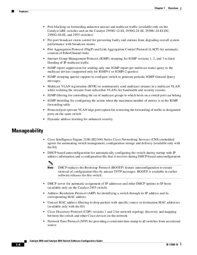 essay about birds best friend spm
