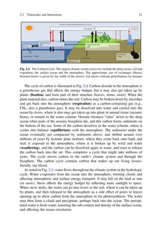 The cycle of carbon is illustrated in Fig. 2.4. Carbon dioxide in the atmosphere is
a greenhouse gas that affects the energy budget, but it may also get taken up by
plants (ﬁxation) and form part of their structure (leaves, stems, roots). When the
plant material dies, carbon enters the soil. Carbon may be broken down by microbes
and get back into the atmosphere (respiration) as a carbon-containing gas (e.g.,
CH4, also a greenhouse gas). It may be dissolved into water and carried into the
ocean by rivers, where it also may get taken up into plant or animal tissue (oceanic
biota), or remain in the water column. Oceanic biomass “rains” down to the deep
ocean when parts of the oceanic biosphere die, and this carbon forms sediments on
the bottom of the sea. Some of the carbon dissolves in the water column, where it
comes into balance (equilibrium) with the atmosphere. The sediments under the
ocean eventually get compacted by sediments above, and shifted around over
millions of years by tectonic plate motions, where they come back onto land, and
rock is exposed to the atmosphere, where it is broken up by wind and water
(weathering), and the carbon can be dissolved again in water, and react to release
the carbon back into the air. This completes a cycle that might take millions of
years. The cycle moves carbon in the earth’s climate system and through the
biosphere. The carbon cycle contains carbon that makes up our living tissues:
literally our blood.
As noted in Fig. 2.3, water flows throughout the climate system in the hydrologic
cycle. Water evaporates from the ocean into the atmosphere, forming clouds and
affecting atmospheric and surface energy transport. It may fall on the land as rain
(or snow). Snow affects the energy budget by reflecting more sunlight to space.
When snow melts, the water can go into rivers or the soil, where it can be taken up
by plants, and then released to the atmosphere as a side effect of pores in leaves
opening up to allow carbon from the atmosphere in for photosynthesis. The water
may then form a cloud and precipitate, perhaps back into the ocean. The precipi-
tated water is fresh water, lowering the salt content and density of the surface ocean,
and affecting the ocean circulation.
Vegetation & Soil
2,400
Deep Ocean 37,000
Sediment 150
Fossil Fuels
3,700
Surface Ocean
900
Atmosphere 765
Biota 3
Weathering
Fixation
Respiration
Rivers
Amount of Carbon in Each Reservoir in 109 Tons
Fossil Fuel
Emissions
Fig. 2.4 The Carbon Cycle. The largest climate system reservoirs include the deep ocean, soil and
vegetation, the surface ocean and the atmosphere. The approximate size of exchanges (fluxes)
between boxes is given by the width of the arrows; red arrows indicate perturbations by humans
2.2 Timescales and Interactions 21
 