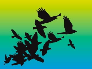 Presentatie Creatief Evenement Creative City Lab