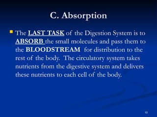 Comprehensive Overview of the Human Digestive System and Its Functions ...