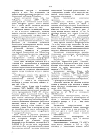 29619ip | PDF