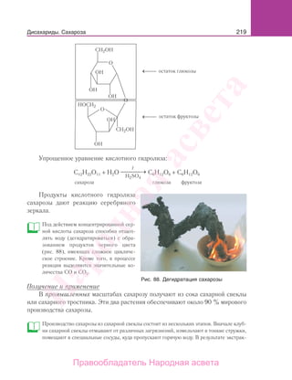 219
CH2OH
остаток глюкозы
остаток фруктозы
CH2OH
HOCH2
OH
OH
OH
O
O
O
OH
OH
Упрощенное уравнение кислотного гидролиза:
C12H22O11 + H2O
H SO2 4
t
⎯⎯⎯⎯ → C6H12O6 + C6H12O6
сахароза глюкоза фруктоза
Продукты кислотного гидролиза
сахарозы дают реакцию серебряного
зеркала.
Под действием концентрированной сер-
ной кислоты сахароза способна отщеп-
лять воду (дегидратироваться) с обра-
зованием продуктов черного цвета
(рис. 88), имеющих сложное цикличе-
ское строение. Кроме того, в процессе
реакции выделяются значительные ко-
личества СО и СО2.
Получение и применение
В промышленных масштабах сахарозу получают из сока сахарной свеклы
или сахарного тростника. Эти два растения обеспечивают около 90 % мирового
производства сахарозы.
Производство сахарозы из сахарной свеклы состоит из нескольких этапов. Вначале клуб-
ни сахарной свеклы отмывают от различных загрязнений, измельчают в тонкие стружки,
помещают в специальные сосуды, куда пропускают горячую воду. В результате экстрак-
Рис. 88. Дегидратация сахарозы
Дисахариды. Сахароза
Народная
асвета
Правообладатель Народная асвета
 