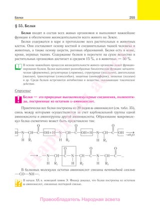 255
§ 55. Белки
Белки входят в состав всех живых организмов и выполняют важнейшие
функции в обеспечении жизнедеятельности всего живого на Земле.
Белки содержатся в ядре и протоплазме всех растительных и животных
клеток. Они составляют основу костной и соединительных тканей человека и
животных, а также основу шерсти, роговых образований. Белки есть в коже,
крови, нервных тканях. Содержание белков в пересчете на сухое вещество в
растительных организмах достигает в среднем 15 %, а в животных — 50 %.
В основе важнейших процессов жизнедеятельности живого организма лежит функцио-
нирование белков. Белки выполняют разнообразные биологические функции: каталити-
ческие (ферменты), регуляторные (гормоны), структурные (коллаген), двигательные
(миозин), транспортные (гемоглобин), защитные (интерферон), запасные (казеин)
и др. Среди белков встречаются антибиотики и вещества, оказывающие токсическое
действие.
Строение
Белки — это природные высокомолекулярные соединения, полипепти-
ды, построенные из остатков α-аминокислот.
Практически все белки построены из 20 видов α-аминокислот (см. табл. 35),
связь между которыми осуществляется за счет карбоксильной группы одной
аминокислоты и аминогруппы другой аминокислоты. Образование макромоле-
кул белка схематично может быть представлено так:
O O
H R1
N CH C
H R2
N CH C
H R3
N CH
O
C ...⎯→⎯
H
H H HR1 R2 R3
HN N NCH CH CHOH OH OH
–nH2O
C
O O O
C+ H+ C ⎯ →⎯
...
В белковых молекулах остатки аминокислот связаны пептидной связью
CO NH .
В начале ХХ в. немецкий химик Э. Фишер доказал, что белки построены из остатков
α-аминокислот, связанных пептидной связью.
Белки
Народная
асвета
Правообладатель Народная асвета
 