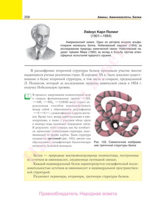 258 Амины. Аминокислоты. Белки
В расшифровке вторичной структуры белков принимали участие многие
выдающиеся ученые различных стран. В середине ХХ в. было доказано сущест-
вование в белке вторичной структуры, в том числе α-спирали, предсказанной
Л. Полингом, который за исследование природы химической связи в 1954 г.
получил Нобелевскую премию.
В процессе закручивания полипептидной цепи
в спираль функциональные группы SH,
ОН, NH2, СООН могут строго оп-
ределенным способом взаимодействовать
между собой с образованием дисульфидных
S S , сложноэфирных и других мости-
ков. Кроме того, между карбонильными и ами-
ногруппами, а также с участием обеих групп
и молекул воды возникают водородные связи.
В результате этого спираль как бы изгибает-
ся, происходит стабилизация структуры, напо-
минающей по форме клубок. Такая структура
называется третичной (рис. 103), именно она
обусловливает специфическую биологическую
активность белковой молекулы.
Белки — природные высокомолекулярные полипептиды, построенные
из остатков α-аминокислот, соединенных пептидной связью.
Каждый индивидуальный белок характеризуется специфической после-
довательностью остатков α-аминокислот и индивидуальной пространствен-
ной структурой.
Различают первичную, вторичную, третичную структуры белков.
Лайнус Карл Полинг
(1901—1994)
Американский химик. Один из авторов модели альфа-
спирали молекулы белка. Нобелевский лауреат (1954) за
исследование природы химической связи. Нобелевский ла-
уреат премии Мира (1962) за вклад в борьбу против атмо-
сферных испытаний ядерного оружия.
Рис. 103. Схематичное изображе-
ние третичной структуры белка
Народная
асвета
Правообладатель Народная асвета
 