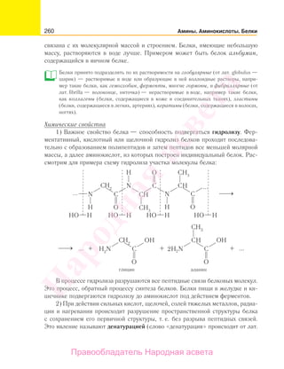 260 Амины. Аминокислоты. Белки
связана с их молекулярной массой и строением. Белки, имеющие небольшую
массу, растворяются в воде лучше. Примером может быть белок альбумин,
содержащийся в яичном белке.
Белки принято подразделять по их растворимости на глобулярные (от лат. globulus —
шарик) — растворимые в воде или образующие в ней коллоидные растворы, напри-
мер такие белки, как гемоглобин, ферменты, многие гормоны, и фибриллярные (от
лат. fibrilla — волоконце, ниточка) — нерастворимые в воде, например такие белки,
как коллагены (белки, содержащиеся в коже и соединительных тканях), эластины
(белки, содержащиеся в легких, артериях), кератины (белки, содержащиеся в волосах,
ногтях).
Химические свойства
1) Важное свойство белка — способность подвергаться гидролизу. Фер-
ментативный, кислотный или щелочной гидролиз белков проходит последова-
тельно с образованием полипептидов и затем пептидов все меньшей молярной
массы, а далее аминокислот, из которых построен индивидуальный белок. Рас-
смотрим для примера схему гидролиза участка молекулы белка:
В процессе гидролиза разрушаются все пептидные связи белковых молекул.
Это процесс, обратный процессу синтеза белков. Белки пищи в желудке и ки-
шечнике подвергаются гидролизу до аминокислот под действием ферментов.
2) При действии сильных кислот, щелочей, солей тяжелых металлов, радиа-
ции и нагревании происходит разрушение пространственной структуры белка
с сохранением его первичной структуры, т. е. без разрыва пептидных связей.
Это явление называют денатурацией (слово «денатурация» происходит от лат.
Народная
асвета
Правообладатель Народная асвета
 