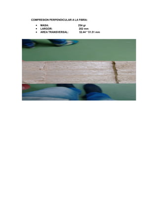 COMPRESION PERPENDICULAR A LA FIBRA:
 MASA: 254 gr
 LARGOR: 202 mm
 AREA TRANSVERSAL: 52.44 * 51.51 mm
 