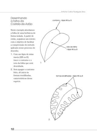 Livro Desenho de vegetação em arquitetura e urbanismo - por Antonio Carlos  Rodrigues Silva - Oficina de Texto
