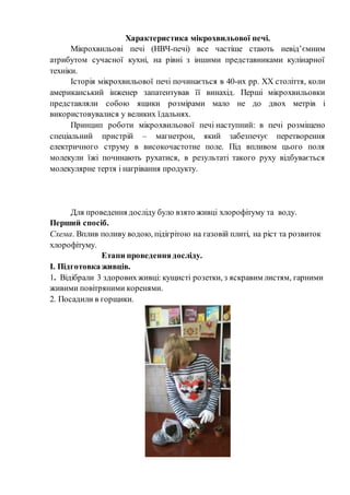 Коли краще набирати воду на водохреща