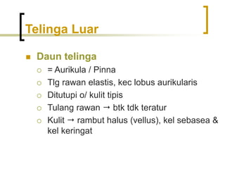 Telinga Luar
 Daun telinga
 = Aurikula / Pinna
 Tlg rawan elastis, kec lobus aurikularis
 Ditutupi o/ kulit tipis
 Tulang rawan  btk tdk teratur
 Kulit  rambut halus (vellus), kel sebasea &
kel keringat
 