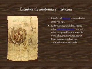 Estudios de anotomía y medicina
• Estudio del embrión humano hecho
entre 1510-1513.
• La formación inicial de Leonardo
sobre anatomía humana comenzó
mientras aprendía con Andrea del
Verrocchio, quien insistía en que
todos sus alumnos tuvieran
conocimientos de anatomía.
 