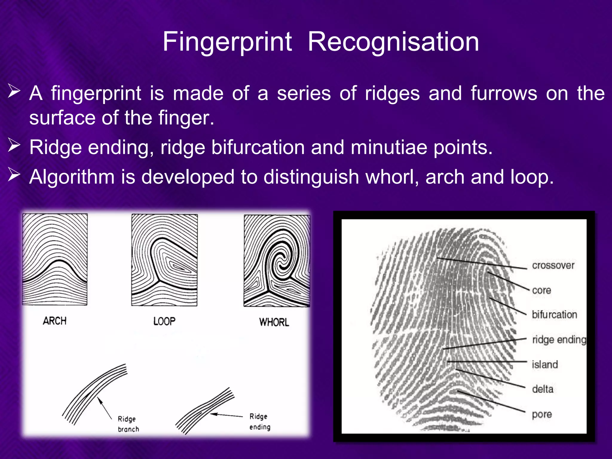 Fingerprint Recognisation
 A fingerprint is made of a series of ridges and furrows on the
surface of the finger.
 Ridge ending, ridge bifurcation and minutiae points.
 Algorithm is developed to distinguish whorl, arch and loop.
 