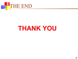 THE END THANK YOU 