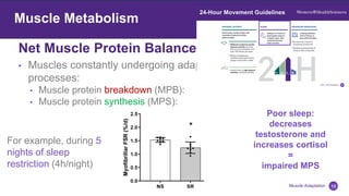 Net Muscle Protein Balance (NBAL)
13
Muscle Adaptation
Muscle Metabolism
• Muscles constantly undergoing adaptative and reparative
processes:
• Muscle protein breakdown (MPB):
• Muscle protein synthesis (MPS):
Poor sleep:
decreases
testosterone and
increases cortisol
=
impaired MPS
For example, during 5
nights of sleep
restriction (4h/night)
 
