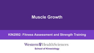 School of Kinesiology
Muscle Growth
KIN2992: Fitness Assessment and Strength Training
 