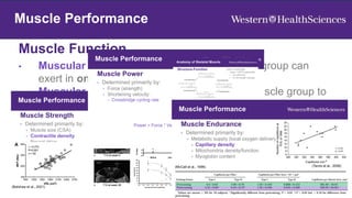 Muscle Function
2
Muscle Adaptation
Muscle Performance
• Muscular strength: force a muscle or muscle group can
exert in one maximal effort.
• Muscular power: The ability of a muscle or muscle group to
generate force while shortening.
• Muscular endurance: Ability of muscles or muscle groups to
perform repeated or sustained contractions.
 