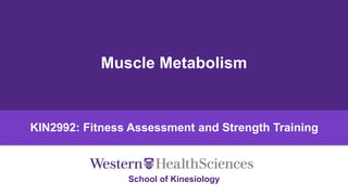 School of Kinesiology
Muscle Metabolism
KIN2992: Fitness Assessment and Strength Training
 