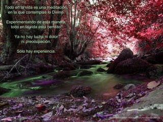 Todo en la vida es una meditación,
 en la que contemplas lo Divino.

Experimentando de esta manera,
  todo en la vida está bendito.

     Ya no hay lucha ni dolor
        ni preocupación.

      Sólo hay experiencia.




                                     http://www.tom-phillips.info/images/cool.pics.35/image.3505.jpg
 
