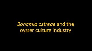 Bonamia ostreae and the
oyster culture industry
 