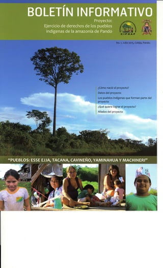 Boletín Informativo - Ejercicio de los Derechos de los Pueblos Indígenas de la Amazonia de Pando