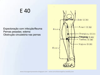 E 40

Expectoração com infecção/fleuma
Pernas pesadas; edema
Obstrução circulatória nas pernas




              www.massagemparatodos.blogspot.com www.consultaenergetica.weebly.com
 