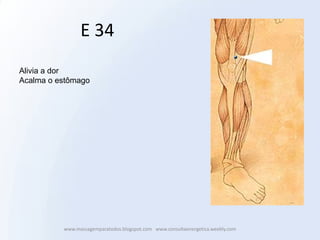 E 34
Alivia a dor
Acalma o estômago




          www.massagemparatodos.blogspot.com www.consultaenergetica.weebly.com
 