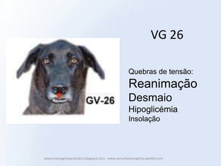 VG 26

                                                Quebras de tensão:
                                                Reanimação
                                                Desmaio
                                                Hipoglicémia
                                                Insolação




www.massagemparatodos.blogspot.com www.consultaenergetica.weebly.com
 