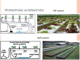 HYDROPONIC ALTERNATIVES
 